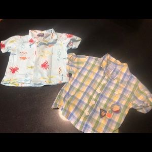 6 month button up luau shirts